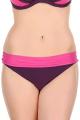 LACE Design - Lilleholm Bikini Folded brief