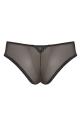 Cleo - Asher Brazilian brief