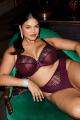 Elomi - Reja Plunge bra I-O cup Elomi - Reja Plunge bra I-O cup