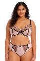 Elomi - Carrie Plunge bra I-M cup