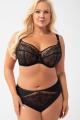 Gorsenia - Full brief - Gorsenia 63