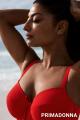 PrimaDonna Swim - Aswan Bikini Top D-H cup