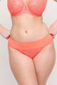 PrimaDonna Lingerie - Sophora Brief