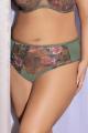 Gorsenia - Full brief - Gorsenia 65