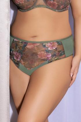 Gorsenia - Full brief - Gorsenia 65