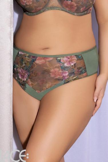 Gorsenia - Full brief - Gorsenia 65