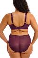 Elomi - Kintai Full Brief