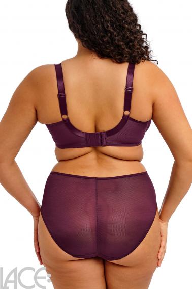 Elomi - Kintai Full Brief