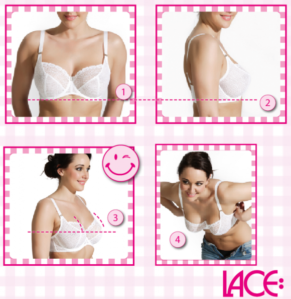 Bra Fit Guide & Bra Size Chart — Measure Your Bra Size —