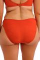 Fantasie Swim - Ottawa Bikini Classic brief