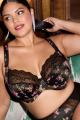Elomi - Lucie Plunge bra I-M cup Elomi - Lucie Plunge bra I-M cup