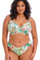 Elomi Swim - Sunshine Cove Plunge Bikini Top G-N cup