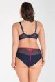 Gorsenia - Full brief - Gorsenia 26