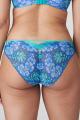 PrimaDonna Twist - Morro Bay Brief