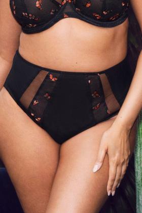 Elomi - Sachi Full Brief