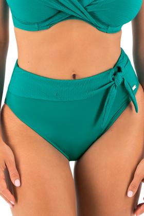 Fantasie Swim - Ottawa Bikini Full brief - High leg