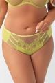 Gorsenia - Full brief - Gorsenia 43