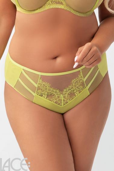Gorsenia - Full brief - Gorsenia 43