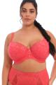 Elomi - Brianna Balcony bra - padded G-L cup