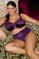 Elomi - Cate Bra I-M cup Elomi - Cate Bra I-M cup