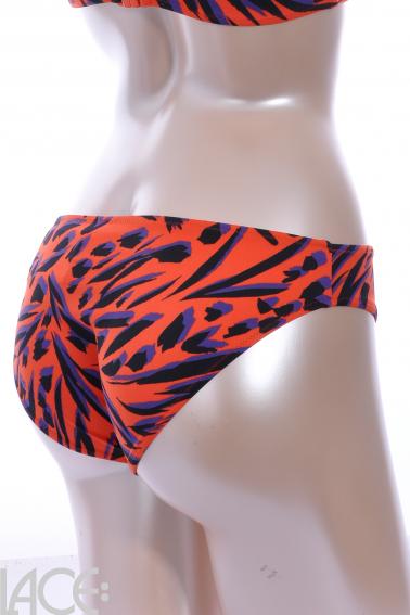 Freya Swim - Tiger Bay Bikini Classic brief