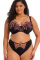 Elomi - Teagan Balcony bra - padded H-L cup Elomi - Teagan Balcony bra - padded H-L cup