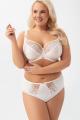 Gorsenia - Full brief - Gorsenia 64