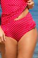 Pour Moi Swim - Hot Spots Bikini High-waisted brief