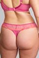 Panache Lingerie - Clara Thong