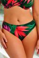 Fantasie Swim - Pichola Bikini Classic brief