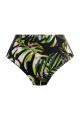 Fantasie Swim - Palm Valley Bikini Full brief