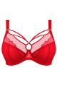Elomi - Brianna Plunge bra G-O cup Elomi - Brianna Plunge bra G-O cup