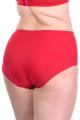 Gorsenia - Full Brief - Gorsenia K497