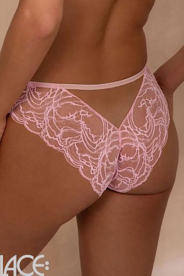 Kinga - Brazilian brief - Kinga 55