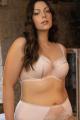 Gorsenia - Padded Bra G-K cup - Gorsenia K647