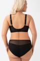 Gorsenia - Full brief - Gorsenia 67