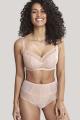 Panache Lingerie - Imogen High-waisted brief