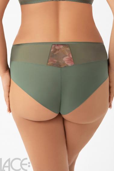 Gorsenia - Full brief - Gorsenia 65