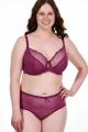 Freya Lingerie - Fancies Plunge bra F-I cup