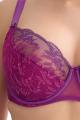 Ewa Bien - Bra F-J cup - Ewa Bien 59