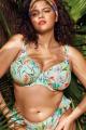 Elomi Swim - Sunshine Cove Plunge Bikini Top G-N cup