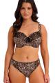 Fantasie Lingerie - Talia Brief
