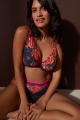 PrimaDonna Lingerie - Devdaha Plunge bra - padded - E-G cup