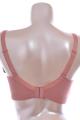 Cake - Popping Candy Bra Nursing wireless