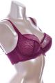 Freya Lingerie - Fancies Plunge bra F-I cup