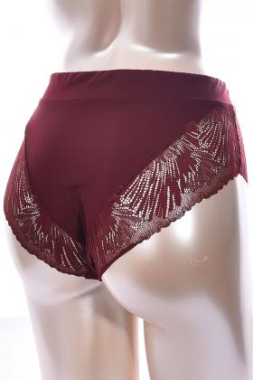 Gorsenia - Full brief - Gorsenia 69