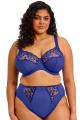 Elomi - Zarla Bra I-M cup