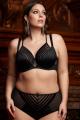 Gorsenia - Full brief - Gorsenia 25