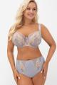 Gorsenia - Full brief - Gorsenia 82