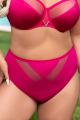 Gorsenia - Full brief - Gorsenia 44